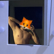 iNightFox