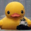 DuckTBone