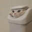 Dumpster Snowy