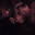 Nympa-