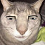 slorp
