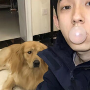 如蟒蛇搬缠绕的窒息感