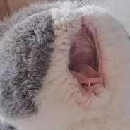 小孩不懂事滋着玩的