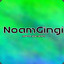 noamgingi