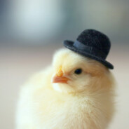 CASE.GIFTKurczak - steam id 76561199832932795