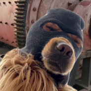 我是XcAug别锁我