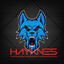 HayKneS2