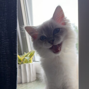 Elliot