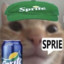 Sprie