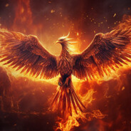 ✪✪✪✪✪ FAdmHDP