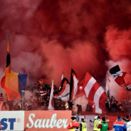 Cornitze - FAC ASIGURARI