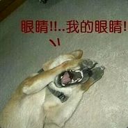 兄弟，气不气？