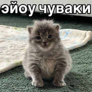 люблю пиZду