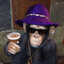 Pimp Chimp