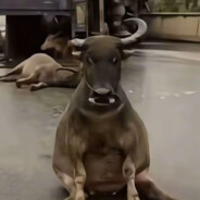 如果忧郁是一种天赋