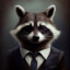 MR RACCOON