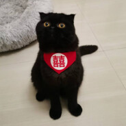 你真是孝死我了