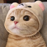 新手第一次玩请大家给我低调一点