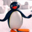 Man Like Pingu