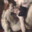 BeKa