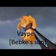vaype