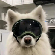 荔枝你让我拿什么荔枝