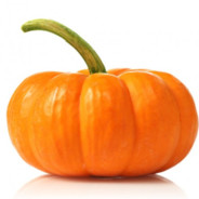 Pumkin