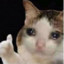 I&#039;m not M3lly_ anymore