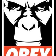 KINGKONG