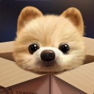 __¸_¸_¸_¸.•'¯)