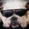 Mr. Bulldog