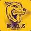 BrunelUs