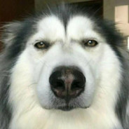 拿铁咖啡不加糖哇°