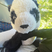 LoganPICKKK dariusss