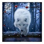 WhiteWolf0625