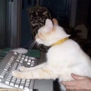 把酒话桑麻辣烫