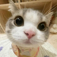 Участник