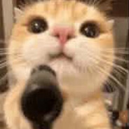 t`