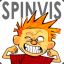 Spinvis