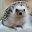 tobby3600