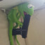 Kermit Suicide