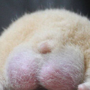 卄ㄖ爪卂Ҝ尺卂Ҝ