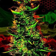 Amnesia Haze - steam id 76561198185722501