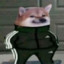 GaMMer_500cz