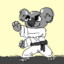 karate_koala