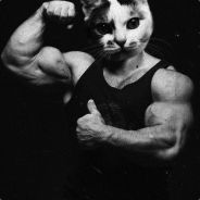 227 - don trump - steam id 76561197961154625