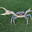 Imitation Crab