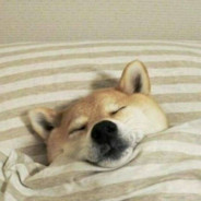 是谁在偷偷点否