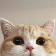 等风来。。。。。。