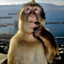 wias's avatar